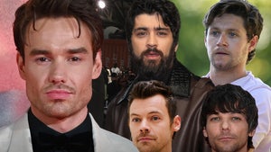 one driection tributes liam payne main composite.