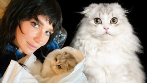 kesha cat death