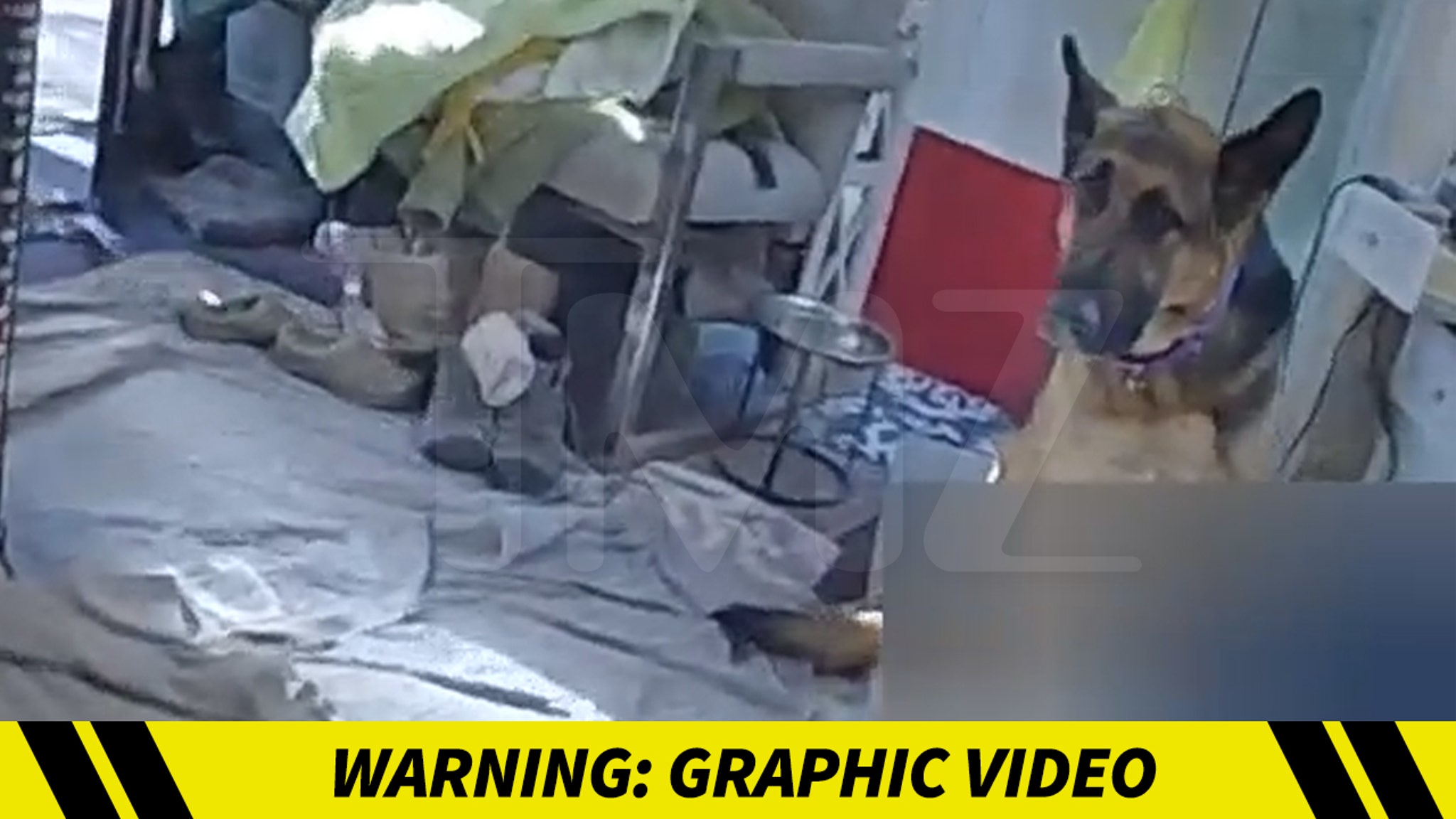 Gene Hackman Police Body Cam Video Shows Dog Protecting Wife's Dead Body