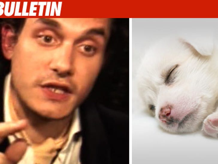 John Mayer Hates Puppies...