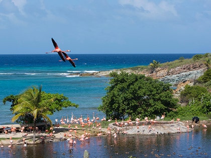 0906-necker-island-main-primary-02