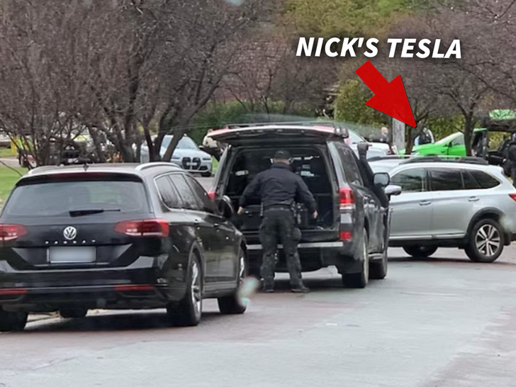 Tennis Star Nick Kyrgios Helps Police After Tesla Stolen At Gunpoint