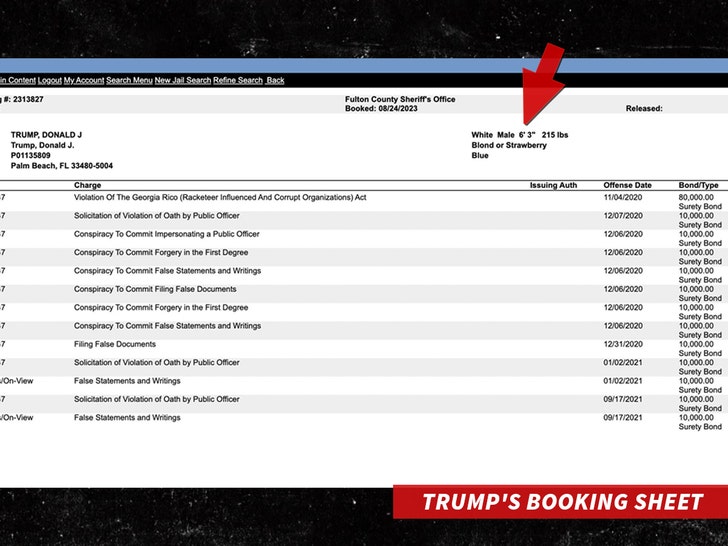 donald trump booking sheet