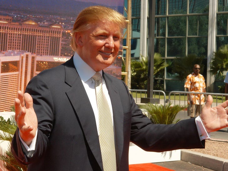 Trump With His Hotels