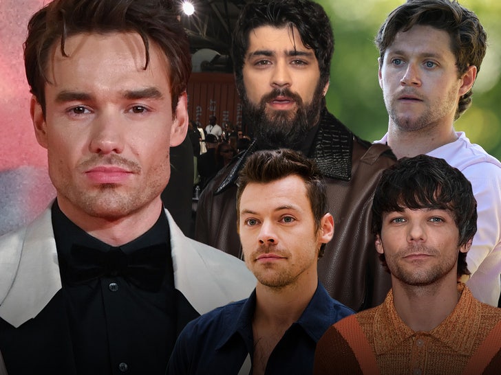 one direction tributes liam payne main composite.