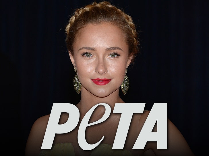hayden panettiere peta getty 1