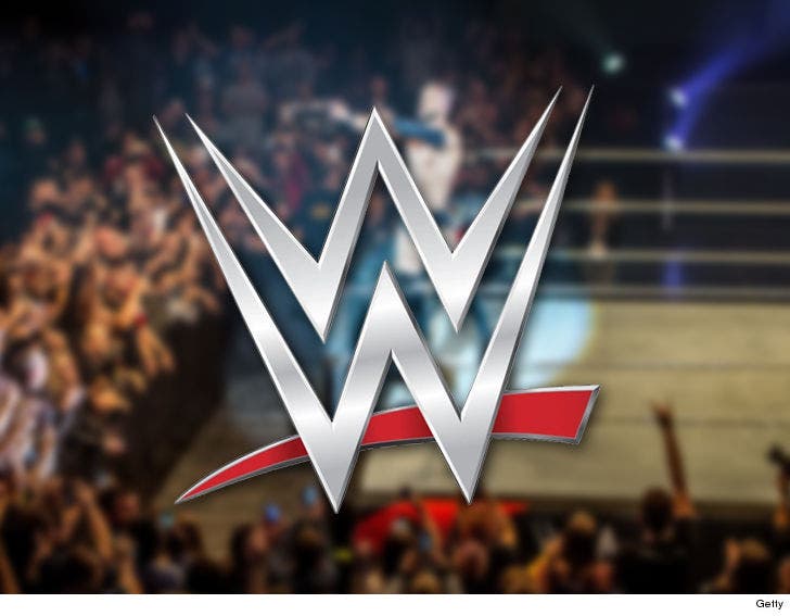 WWE Gets Restraining Order Against Poop-Smearing Fan