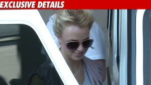 Britney Spears Remains Under Conservatorship