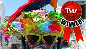 TMZ's Spring Break Snapshots Contest -- WINNER!