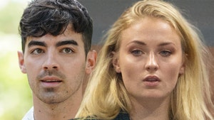 Joe Jonas, Sophie Turner's Hit & Run Driver Can't Be Charged for Killing Dog