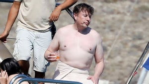 Elon Musk Vacations On Yacht in Mykonos Amid Twitter Lawsuit