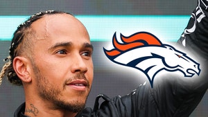Lewis Hamilton Joins Denver Broncos Ownership Group