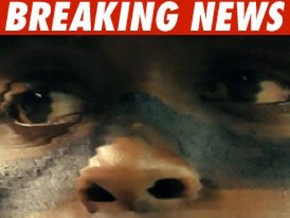 1130_burress_bn_getty_4_used