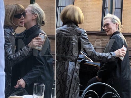 0507-Meryl-Streep-Anna-Wintour-Lunch-New-York-photos-primary