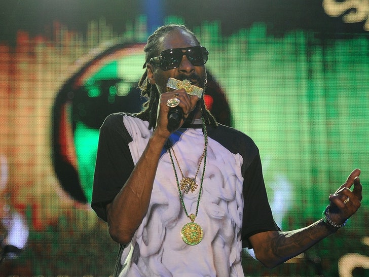 Snoop Dogg's Performance Photos