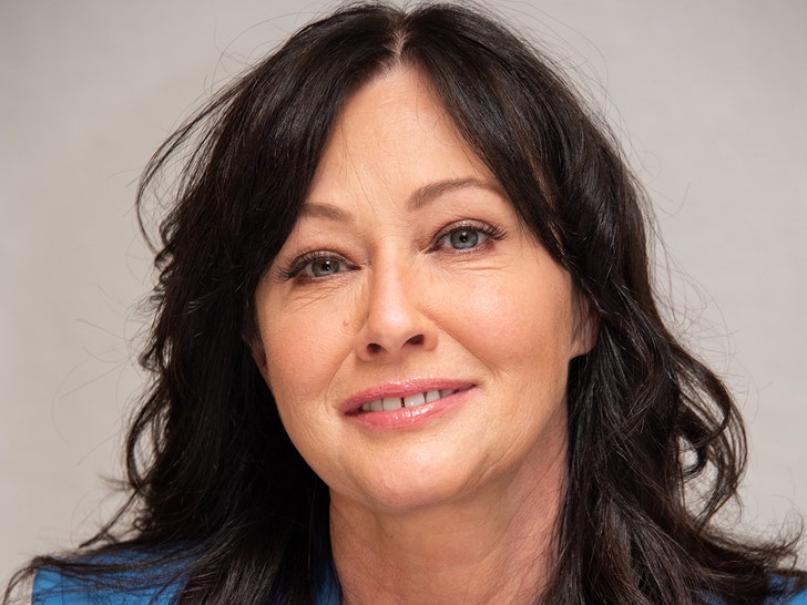 Shannen Doherty Pushing Forward with Hollywood Career Amid Cancer Battle