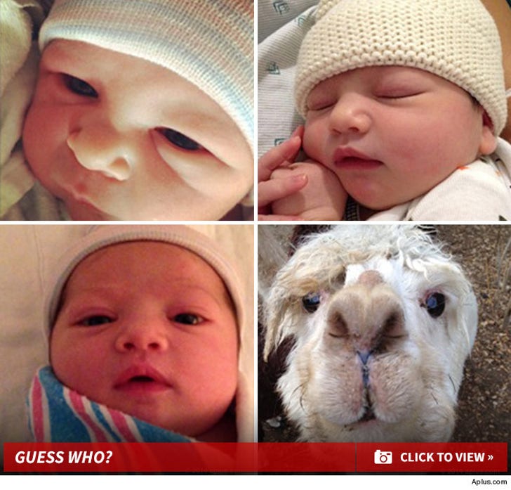 Ashton and Mila's Baby - Guess Who?