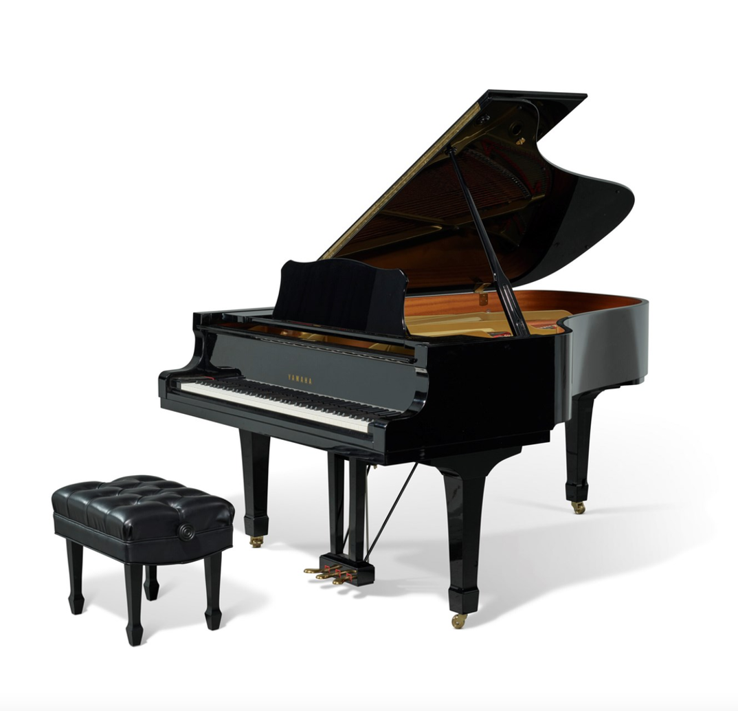 Elton John Auction -- Sold!