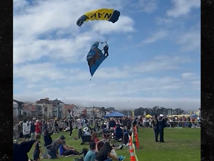 Navy Parachutist Crash-Lands On Mother And Teen During Performance