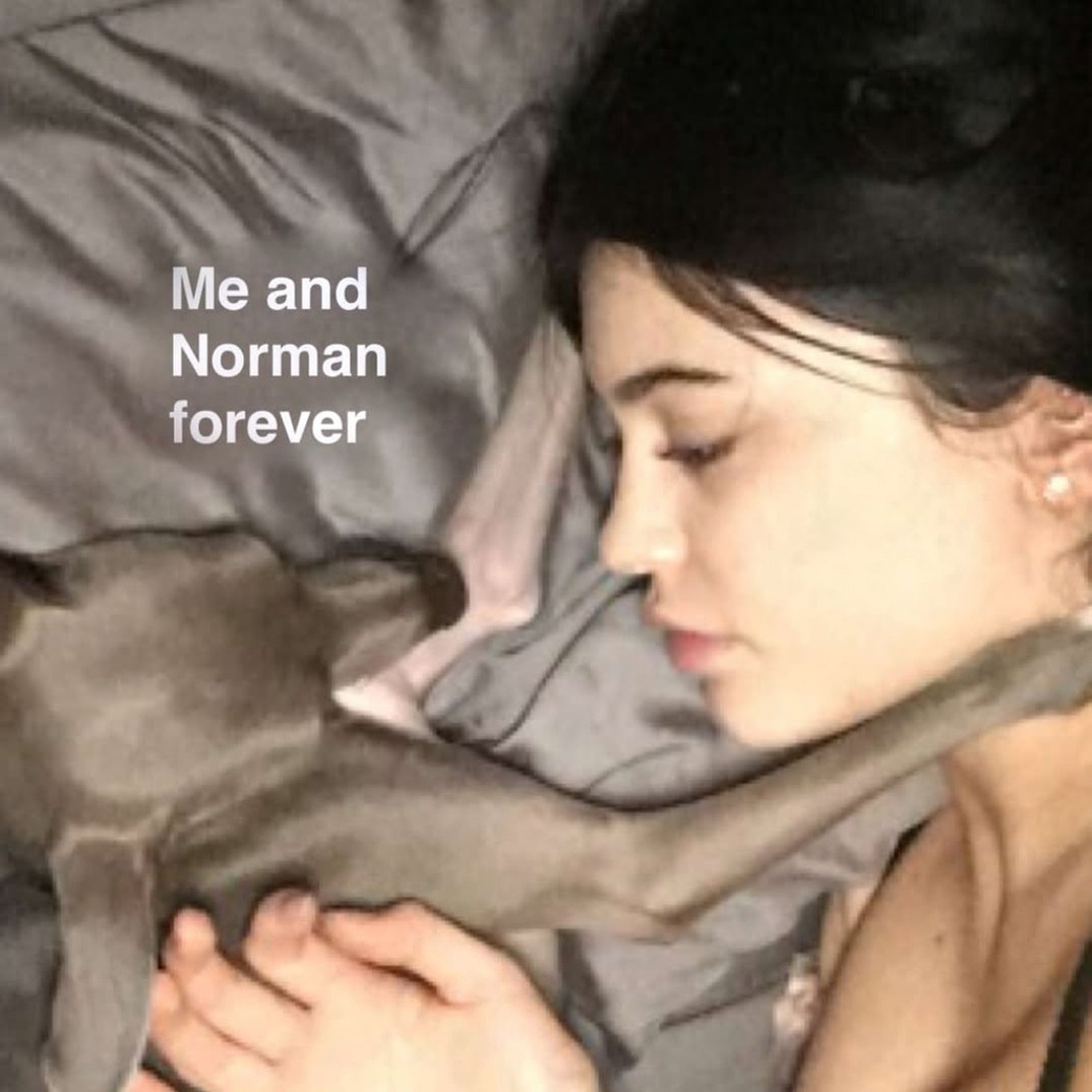 Kylie Jenner Norman Dog 2