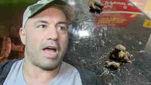 Joe Rogan's Truck Turd Bombed By Toilet-Hating Airport Cats