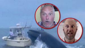 whale sinks boat interview