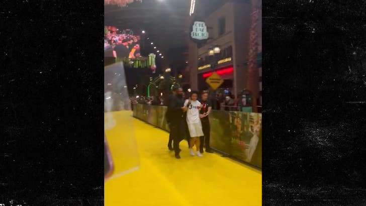 111325_wicked_premiere_security_2152799