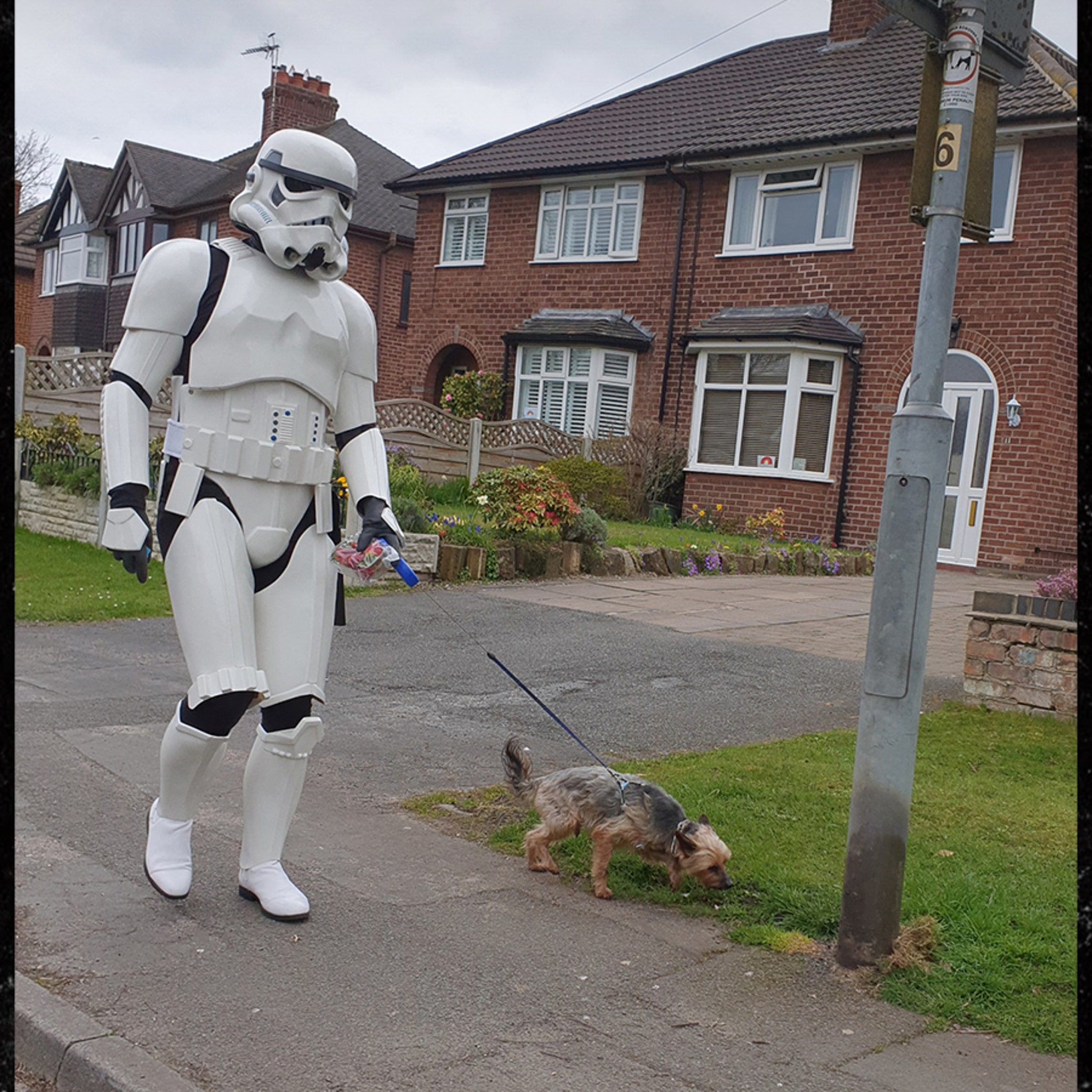 Dog store stormtrooper outfit