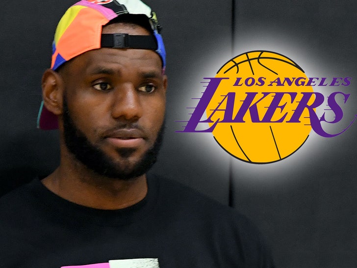 LeBron James Holding Private Lakers 