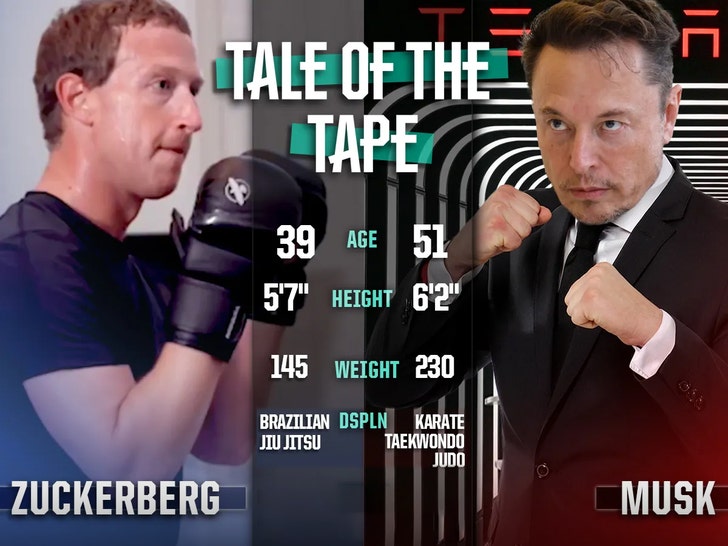 elon zuckerberg tale of the tape getty 1