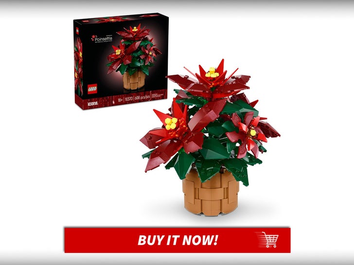Icon-Poinsettia-Building-set-Lego-Botanicals-MAIN