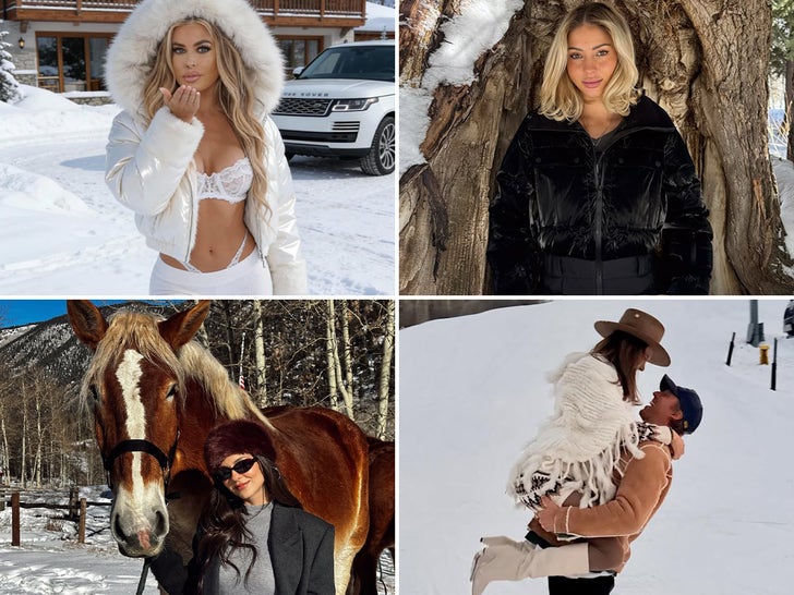 Stars Vacaying In Aspen