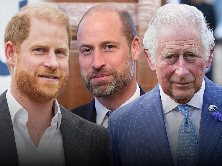 prince harry prince william and king charles getty 1