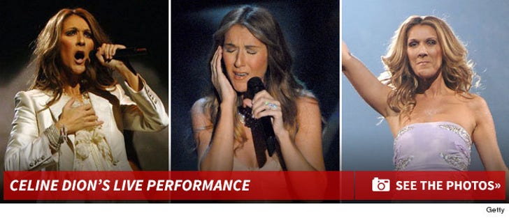 Celine Dion Performance Photos