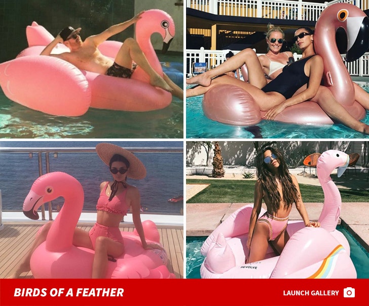 Famous Flamingo Floaters -- Birds Of A Feather
