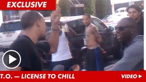 Terrell Owens -- Accosted by N-Word-Hurling Jackass