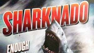 Sharknado -- SEQUEL APPROVED ... Sharks to Invade NYC