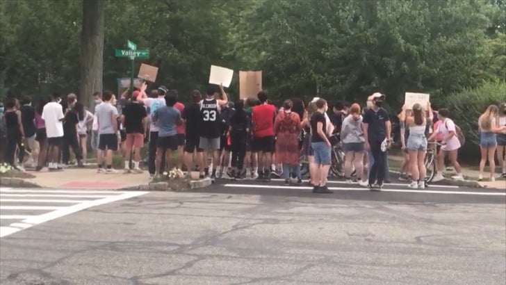 Group Of Protesters