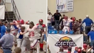 Indoor Football Players & Coaches Brawl In Stands In Wild Scene At Game