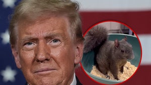 1102 donald trump peanut the squirrel main getty composite