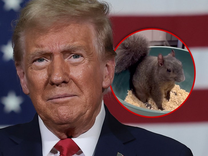 Fake Trump Statement on Peanut The Squirrel Makes Social Media Go Nuts