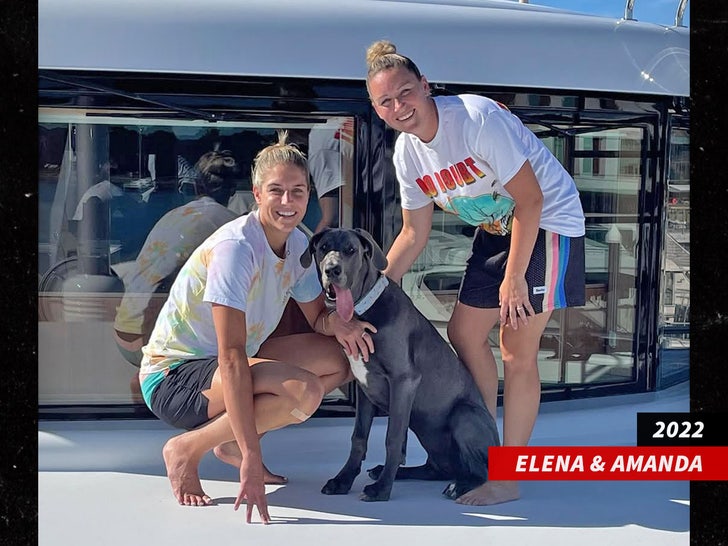 Elena Delle Donne amanda dell donne dog sub instagram swipe