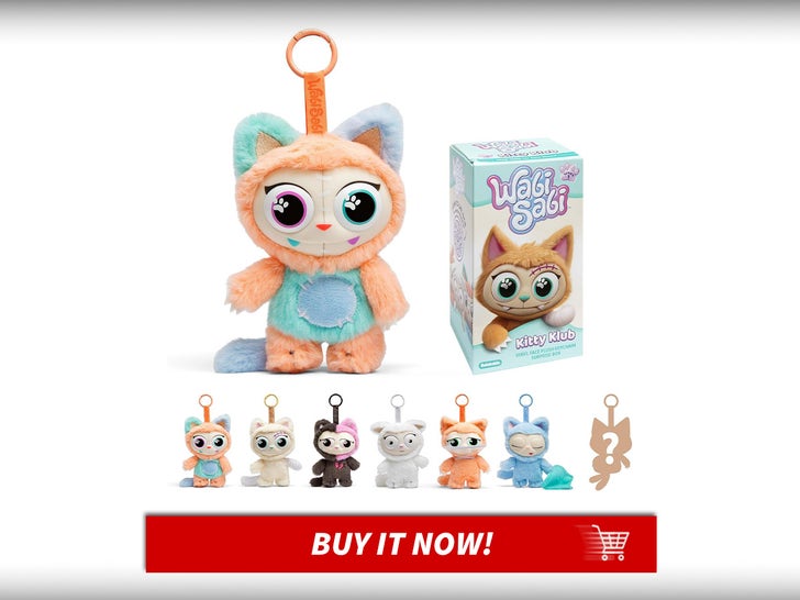 WabiSabi-Kitty-Club-Blind-Box-Fun-Last-Minute-Gifts-MAIN