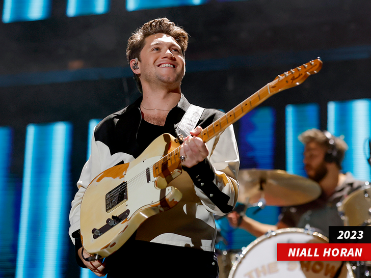 niall horan sub getty