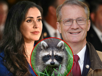 main Jimothy raccoon Ana Paulina Luna Tim Burchett getty