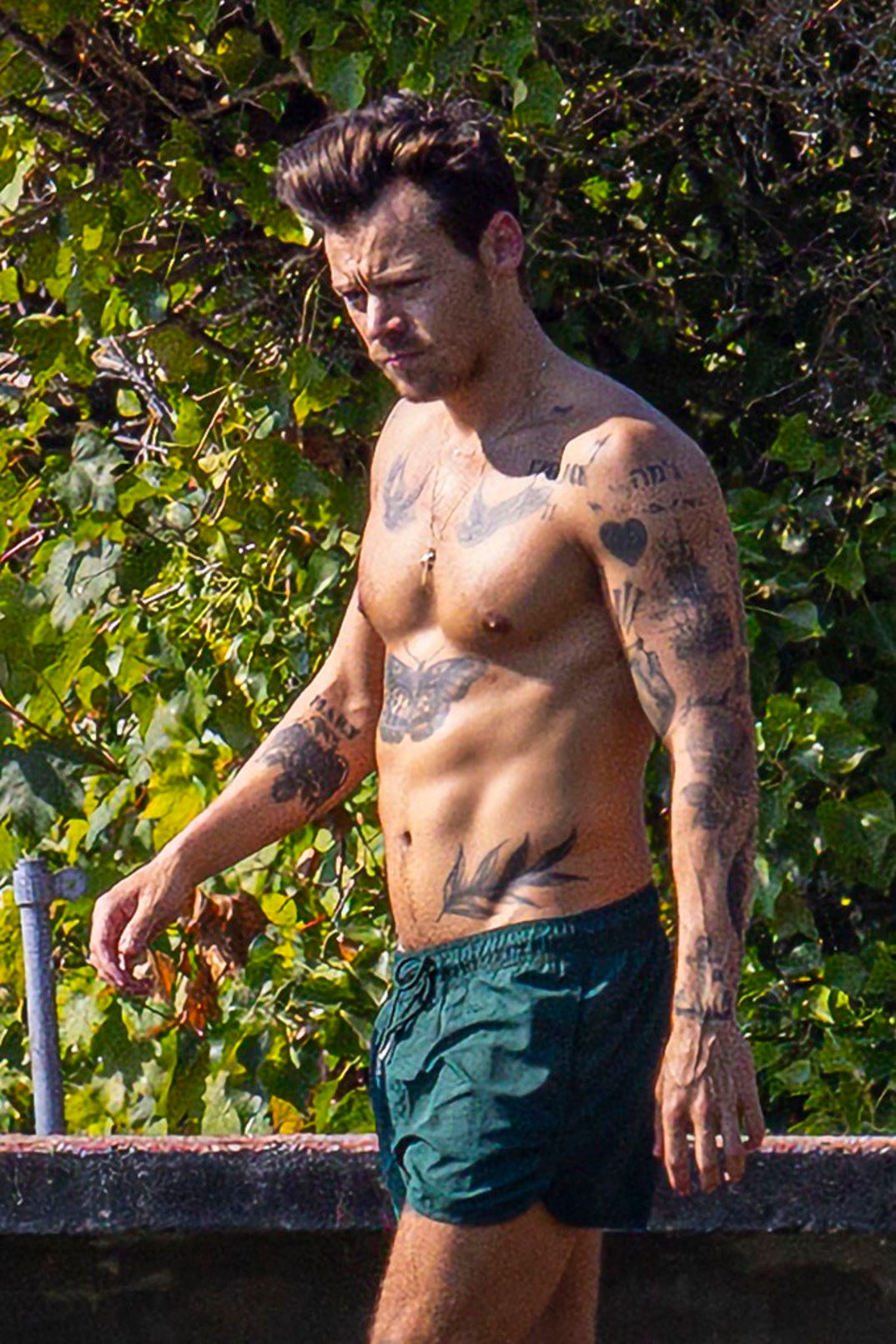 Harry Styles Shows Off Ripped Body in English Duck Pond