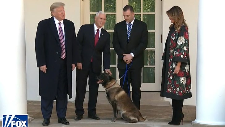 Conan the dog, hurt in terror raid, welcomed at White House