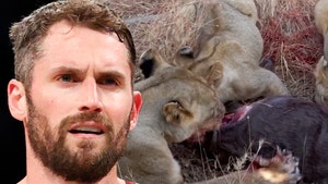 Kevin Love Watches Lions Devour Prey On African Safari