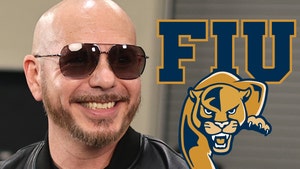 Pitbull Buying Naming Rights To FIU Football Stadium