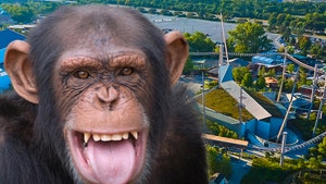 indianapolis zoo getty 2